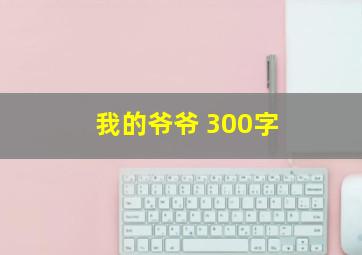 我的爷爷 300字